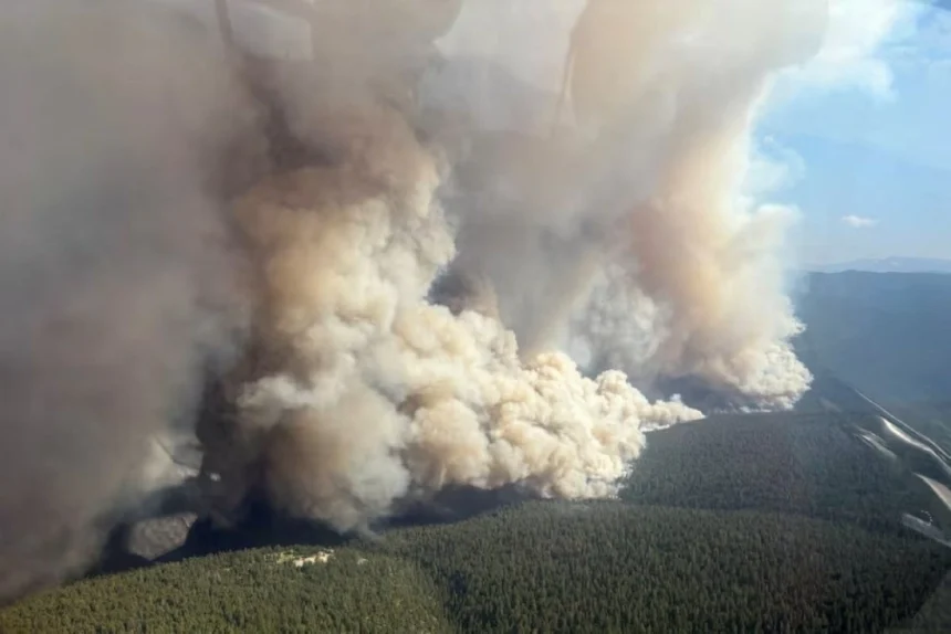 download Canadian wildfires rage as Trump warns Carney again over ‘poisoning’ US air